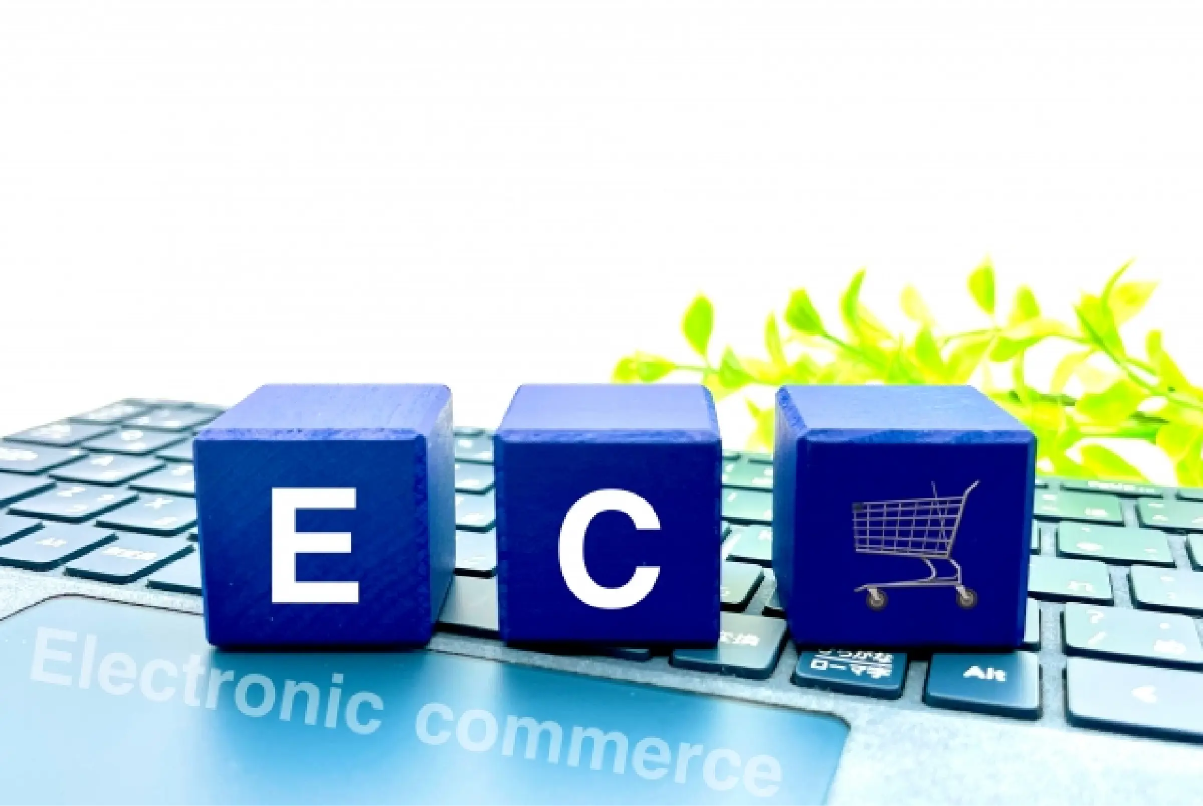 不安を徹底解消！4つの安心特典！